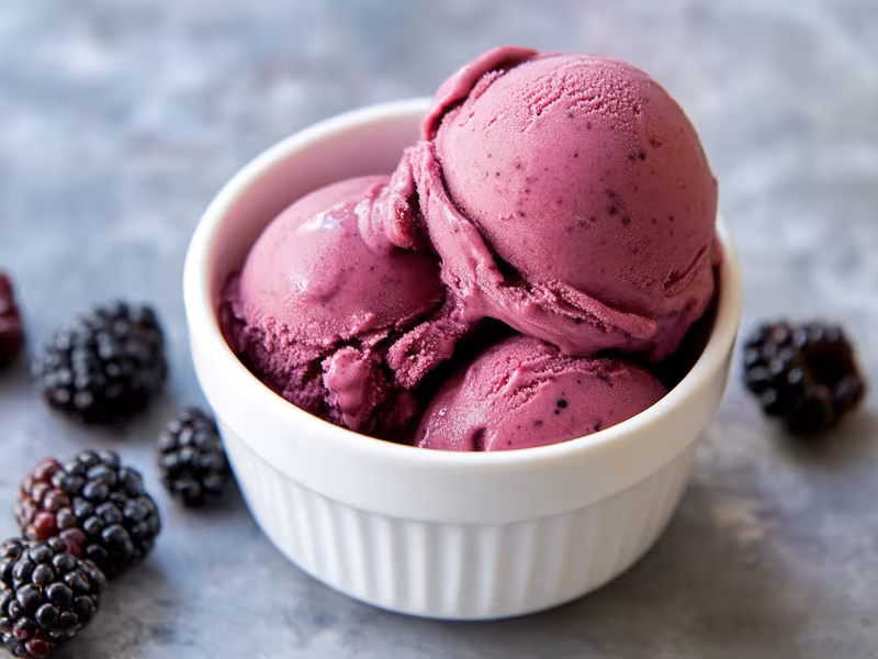Blackberry Frozen Yogurt - Ninja Creami Recipe