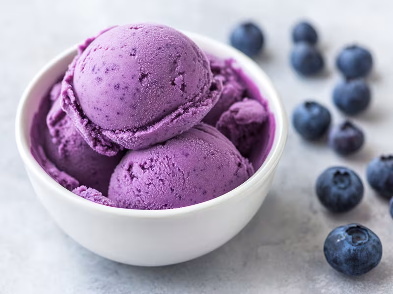 Blueberry Frozen Yogurt - Ninja Creami Recipe