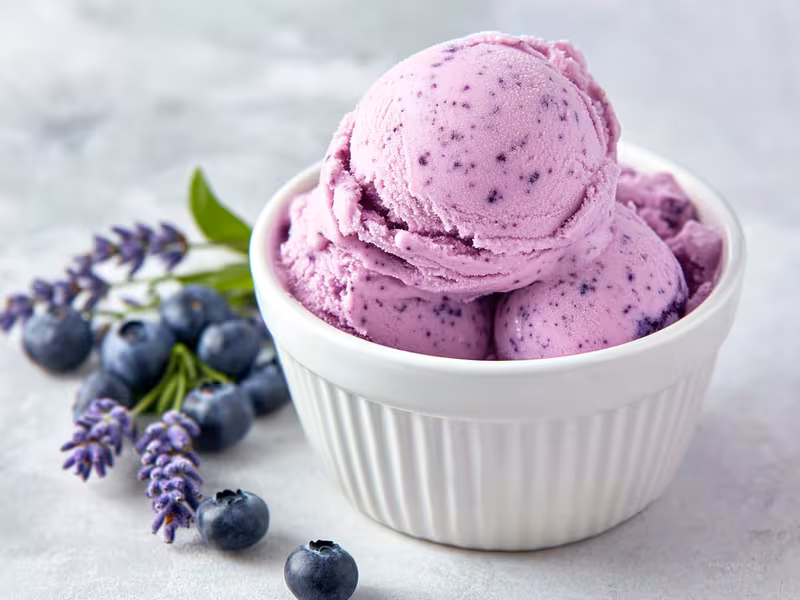 Blueberry Lavender Greek Frozen Yogurt - Ninja Creami Recipe