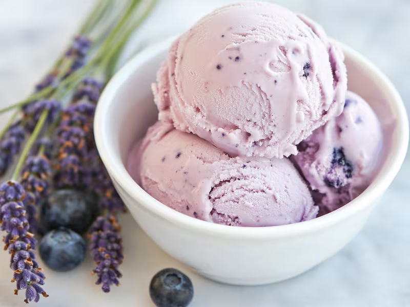 Blueberry Lavender Ice Cream - Ninja Creami Recipe