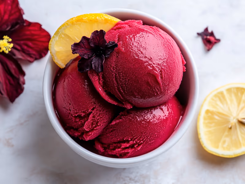 Hibiscus Sorbet - Ninja Creami Recipe