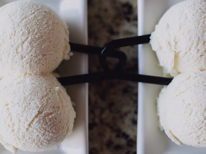 Vanilla Protein Ice Cream - Ninja Creami Recipe