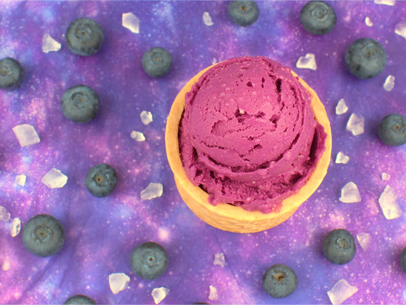 Vegane Blaubeer-Eiscreme - Ninja Creami Recipe