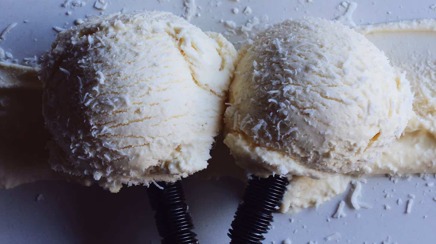 Vegane Vanille-Eiscreme - Ninja Creami Recipe